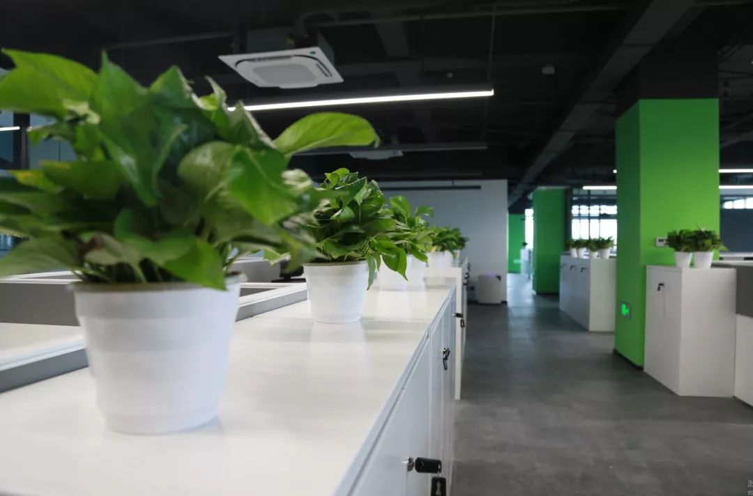 ¾ÅÓÎÀϸ硤(Öйú)¾ãÀÖ²¿¹Ù·½ÍøÕ¾